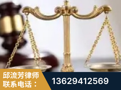 茫崖-委托诉讼代理人出庭